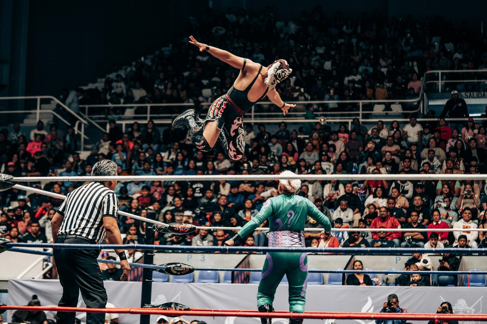 Action-packed shot of a Lucha Libre match in a crowded arena.